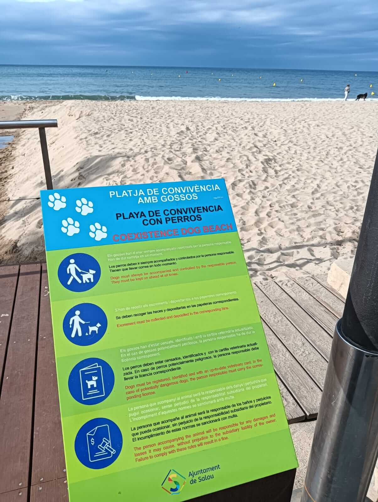 Normas de uso en la playa para perros de Salou