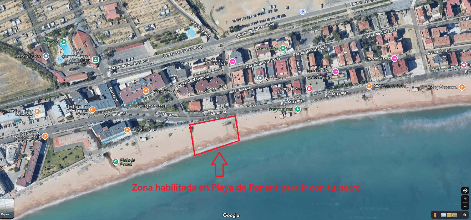 Playa para perros en Salou, platja ponent