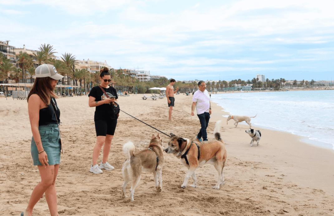 Playas para mascotas en Salou