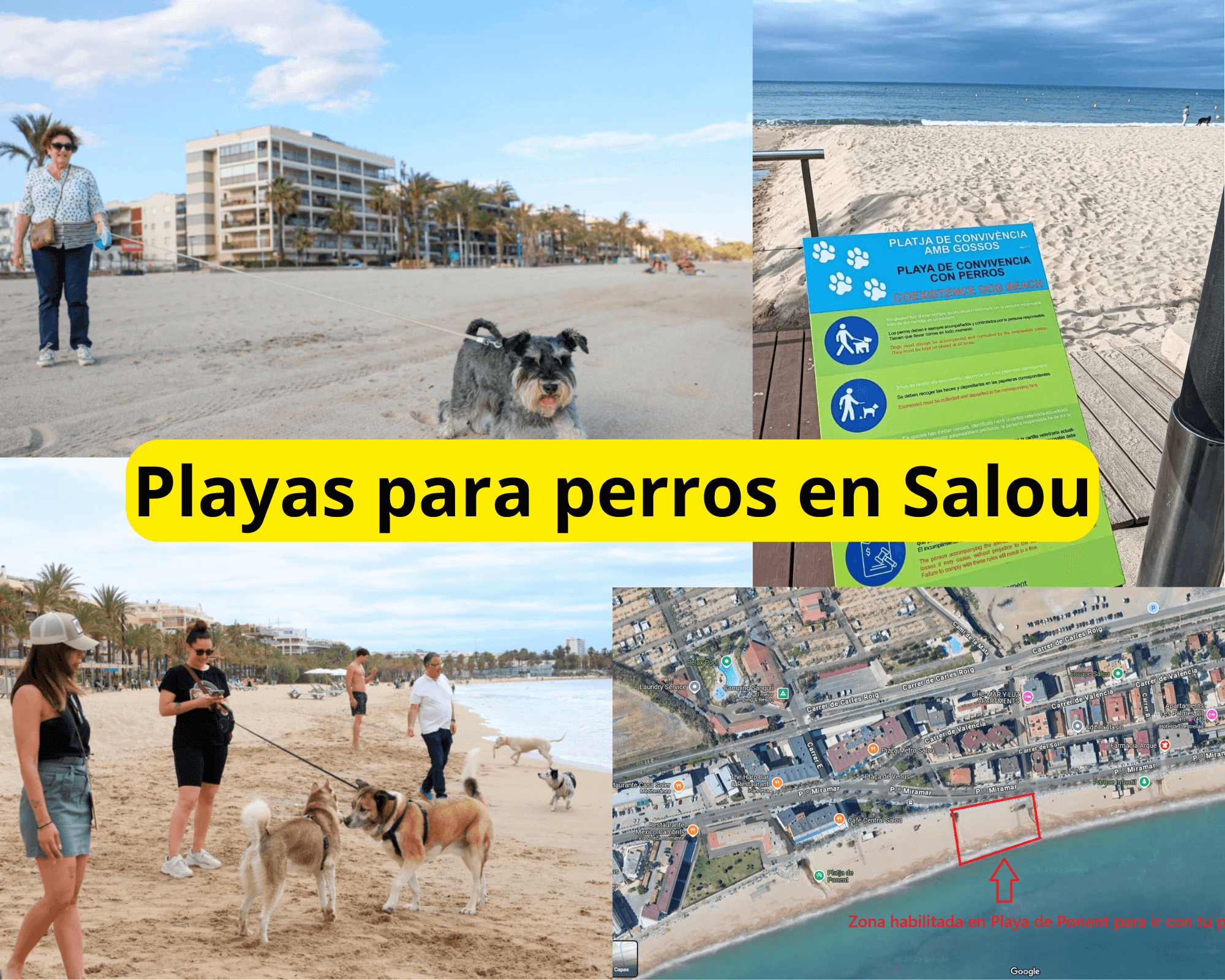 Playas para perros en Salou