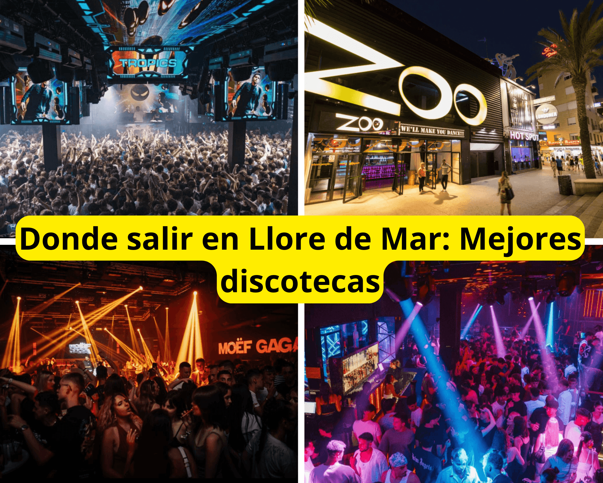 Donde salir de fiesta en Llore hoy mejores discotecas