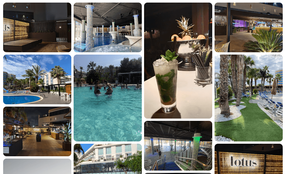 Lotus The Club (La Pineda) piscina, copas y relax